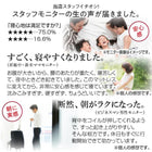 ゾーンコイルマットレス 抗菌防臭 防ダニ 高反発 硬め バランスタイプ zone-coil セミダブル