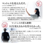 ゾーンコイルマットレス 抗菌防臭 防ダニ 高反発 硬め バランスタイプ zone-coil ダブル