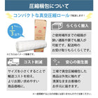 収納付きベッド シングル 3Dメッシュマットレスセット ブラックマットレス ポケットコイルマットレス コンパクト