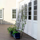 アイアン製グリーンカーテン アーガイル 2枚組