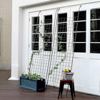 アイアン製グリーンカーテン グラフ 2枚組