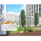 アイアントレリス フィニアル 2枚組