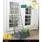 アイアン製グリーンカーテン アーガイル