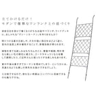 アイアン製グリーンカーテン アーガイル