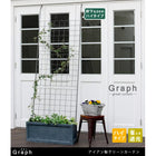 アイアン製グリーンカーテン グラフ