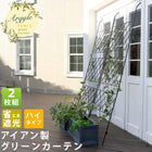 アイアン製グリーンカーテン アーガイル 2枚組