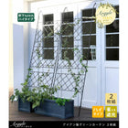 アイアン製グリーンカーテン アーガイル 2枚組