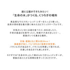 アウトドアテーブル チェア 木製 ピクニックテーブル 屋外テーブル 幅147