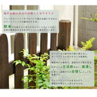 ガーデンフェンス ピケットフェンス ストレート 平地8連結セット フェンス diy 簡単 安い