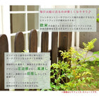 ガーデンフェンス ピケットフェンスU型連結セット(平地用) フェンス diy 簡単 安い