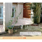 ブランティーク ホワイトアイアントレリスH147 4枚組 フェンス diy 簡単 安い SPL-8923-4-WHT