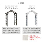 アーチ バラ ガーデンアーチ ローズアーチ ガーデニング 庭 単品