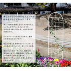 ガーデンフェンス クラシックフェンス 150 ロータイプ 2枚組 フェンス diy 簡単 安い