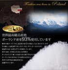 羽毛掛布団 単品 クイーン ポーランド産 グースダウン 最高級羽毛93% プレミアムゴールドラベル