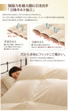 羽毛掛布団 単品 クイーン ポーランド産 グースダウン 最高級羽毛93% プレミアムゴールドラベル