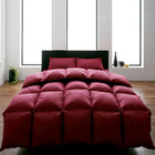 羽毛布団 グース ダブル 和タイプ 10点セット 9色 羽毛布団 ワインレッド
