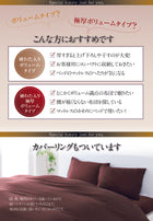 羽毛 敷布団 ダブル10点セット プレミアム 極厚ボリュームタイプ ポーランド産ダック90% ロイヤルゴールドラベル