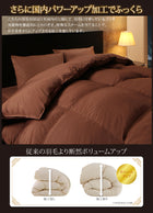 羽毛布団 ダブル10点セット ポーランド産グースダウン93% プレミアムゴールドラベル和タイプ