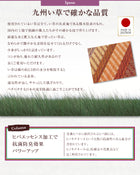 い草ラグ マット ラグ 60×90 ふっくら 6mm 純国産 ラインデザイン おしゃれ