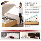 ベッド セミシングル ベッド 跳ね上げ 収納 薄型スタンダードポケットコイル 横開き お客様組立 深さレギュラー