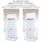 コレクション収納 本体 上置きハイタイプ付き 幅54.1 高さ241〜274 背面ミラー付き 壁面