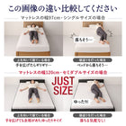 セミダブルベッド ローベッド スタンダードボンネルコイル