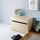 引出しベンチ収納 幅59cm 高さ41cm