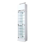 コレクション収納 本体 上置きロータイプ付き 幅54.1 高さ225〜252 背面ミラー付き 壁面