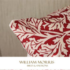 ウィリアムモリス クッションカバー バード&アネモネ Bird&Anemone red 45X45cm