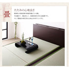 収納畳ベッド 照明・棚付きガス圧式跳ね上げ 国産タイプ 縦開き・ベッドガードなし セミダブル 深さラージ