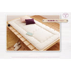 ベッド 北欧デザイン フランスベッド マルチラススーパースプリング ステージ セミシングル フレーム幅100