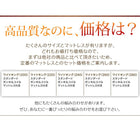 大型フロアベッド 分割・シンプル スタンダードボンネルコイル ワイドK220(S+SD)