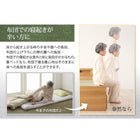 ダブルベッド 畳ベッド 棚・照明・引出2杯付