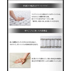 2点セット 1人掛け×2 ハイバック コイルソファ ソファー