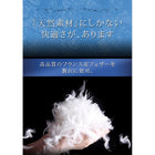 羽根布団8点セット ベッドタイプ シングル8点セット フランス産フェザー