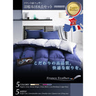 羽根布団8点セット ベッドタイプ セミダブル8点セット フランス産フェザー