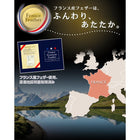 羽根布団10点セット 和タイプ ダブル10点セット フランス産フェザー