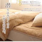 プレミアムマイクロファイバー 毛布・パッド grn+グランプラス 2枚合わせ毛布・ボックスシーツ パッド一体型セット 発熱わた入り セミダブル