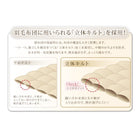 掛布団 単品 セミダブル 洗える抗菌防臭 9色 高機能中綿