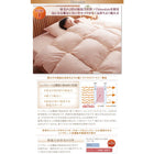 布団 8点セット ベッドタイプ シングル8点セット 抗菌防臭 9色 高機能中綿