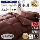羽毛掛布団 単品 セミダブル 日本製 防カビ 消臭 フランス産 ホワイトダックダウン エクセルゴールドラベル
