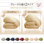 掛布団 単品 ダックタイプ ダブル 9色!羽毛布団