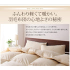 掛布団 単品 ダックタイプ クイーン 9色!羽毛布団