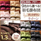 掛布団 単品 ダックタイプ クイーン 9色!羽毛布団