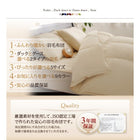 掛布団 単品 クイーン 9色!羽毛布団