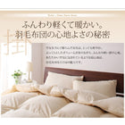 羽毛布団 グース ダブル ベッドタイプ 10点セット 9色 羽毛布団