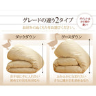 羽毛布団 グース ダブル10点セット プレミアム敷布団タイプ 極厚ボリュームタイプ 9色 羽毛布団
