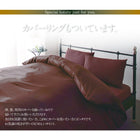 羽毛布団 ダブル10点セット ベッドタイプ ポーランド産 ホワイトダック90% ロイヤルゴールドラベル