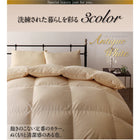 羽毛掛布団 単品 セミダブル 日本製 ポーランド産 ホワイトダックダウン90% ロイヤルゴールドラベル