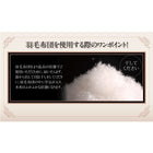 羽毛掛布団 単品 クイーン 日本製 ポーランド産 ホワイトダックダウン90% ロイヤルゴールドラベル